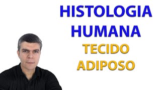 TECIDO ADIPOSO [upl. by Debby621]