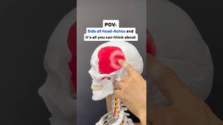 Side of headaches amp breaking your concentration headache headacherelief tmj anatomy migraine [upl. by Lesko]