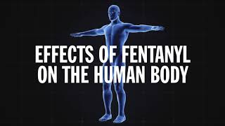 Science Behind Addiction Fentanyl [upl. by Drofxer]