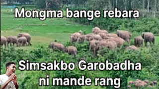 Aiao Mongma Bange Rebajok Garobadhaona Simsakbo 🙏🙏🙏 [upl. by Ynnob331]