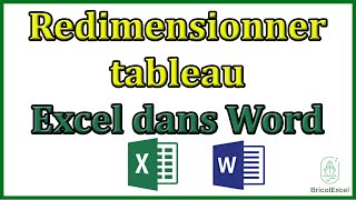 Redimensionner tableau Excel dans Word [upl. by Merl]