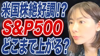 【米国株】史上最高値更新中のSampP500！今後の見通しは？ [upl. by Editha]