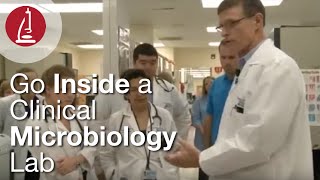 Go Inside a Clinical Microbiology Lab [upl. by Harikahs]