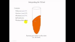 TSI Test Part 2 [upl. by Mountfort511]