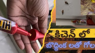 How to Get rid of cockroaches in kitchen by walkinthrough [upl. by Gloria]