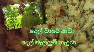 dell mallum recipeරසවත් දෙල් මැල්ලුම village cookingwild cookingeasyrecipe [upl. by Mchale]