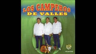 Los Camperos de Valles  El Andariego Disco Completo [upl. by Oys]