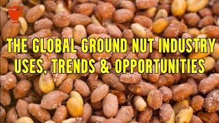 Exploring the Global Ground Nut Industry Trends amp Opportunities [upl. by Mala927]