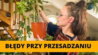 20 Najczęściej popełnianych błędów przy PRZESADZANIU domowych roślin doniczkowych 🌱 Vlog [upl. by Ennaeirrac818]