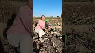 Multifunction microtillage machineRotary tillage weeding and ditching fourwheel part 546 [upl. by Odlabu]