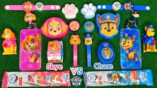 PAW PATROL SKYE VS CHASE UNBOXING ASMR  SATISFYING CANDY ASMR OPENING VIDEO  Paw Patrol Collection [upl. by Zolner]