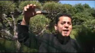 Massoud Wafa  Hum Yaar Hain Tumhare  Bollywood Song Afghan Singer [upl. by Rust]