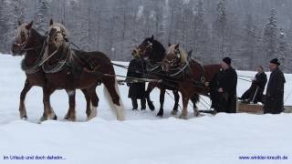 1 WinterRoßtag in Kreuth 2017 [upl. by Orian]