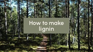 How to make lignin [upl. by Nohtanhoj]