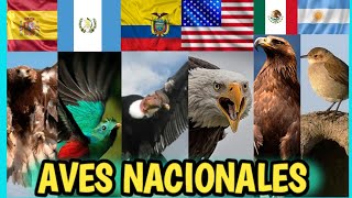 AVES NACIONALES de cada PAIS 🌍🐦 [upl. by Gottwald266]