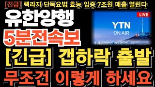 유한양행 주가전망긴급 시간외 매도폭탄 갭하락 출발 무조건 이렇게 하세요 1차치료제 NCCN 등재 임박 우선권고 피하주사 FDA승인 연이어 터진다 매도시점 멀었습니다 [upl. by Aidualk644]