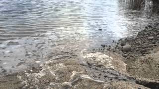 Small Scale Time Lapse Alluvial Fan Development [upl. by Liryc350]