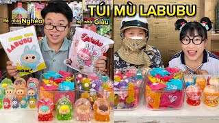 Xé Túi Mù Labubu Hệ Nhà Giàu vs Nhà Nghèo Kiểu [upl. by Qidas243]