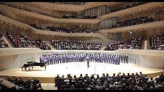 Die Regensburger Domspatzen singen in der Elbphilharmonie  Mittelbayerische Zeitung 23102018 [upl. by Leith]