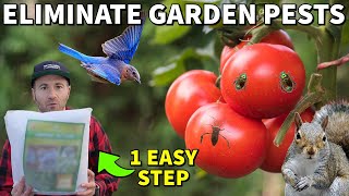 This One Easy Step Prevents 95 Of Pests In Your Garden All Year [upl. by Saito]