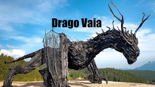 drago vaia  alpe cimbra [upl. by Arahsat703]