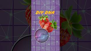 Extract DNA out of a strawberry 🍓 🧬 dna cells biology shorts [upl. by Ididn]