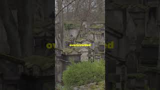 Exploring the Chilling Catacombs of Paris 😱😱 [upl. by Aigroeg495]