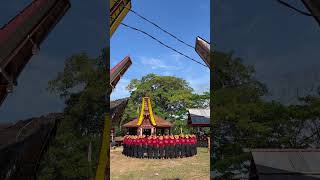 Rambu Solo Toraja deathcelebration torajaculture [upl. by Leftwich362]