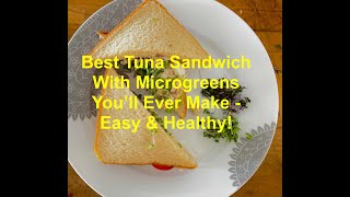 Tuna sandwich With Microgreens  Super Easy amp Healthy [upl. by Grodin]