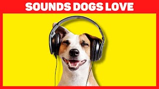 Sounds Dogs Love 🔊🐶💗 [upl. by Laverna385]