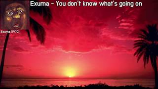 가사 번역 Exuma  You dont know whats going on [upl. by Breh]