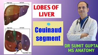 LOBES OF LIVER amp Couinaud segment [upl. by Snell]