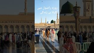 Main Akeila Or Zundgi trendingshorts viralvideo madina [upl. by Kant177]