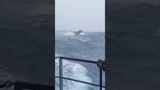 Insane Navy Boat Exercise in too Rough Sea Storm [upl. by Kerstin]