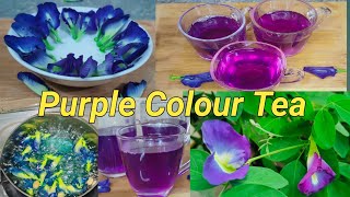 অপরাজিতা ফুলের চাButterfly pea flower teaColourful teaOprajita puler cha tea recipeShorts [upl. by Vinna]