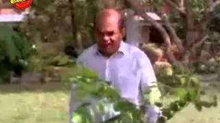 Pappayude Swantham Appoos  Malayalam Movie  Comedy Scene  Sankaradi [upl. by Avek]