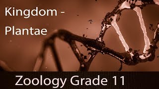 Kingdom Plantae Five Kingdom Classification  Introduction  Characteristics  Classification [upl. by Olethea]