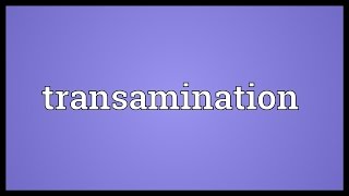 Transamination Meaning [upl. by Perl42]