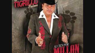 tigrillo palma a todo sinaloa [upl. by Frank]