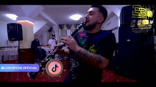 Liviu si Vox Ork  Instrumentala greceasca  Live 2022 [upl. by Donica]