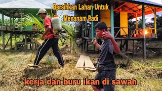 BERSIHKAN LAHAN UNTUK MENANAM PADI KERJA DAN BURU IKAN [upl. by Annawt]