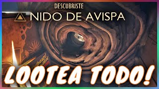 Explora TODO el NIDO DE AVISPAS de GROUNDED [upl. by Epotimet]