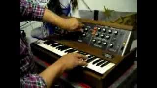 Moog Minimoog synth demo solo from Adriano Ancona tutorial demonstration test prova [upl. by Attesor959]