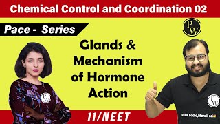 Chemical Control amp Coordination 02  Glands amp Mechanism of hormone Action  11  NEET  PACE Series [upl. by Hoxie]