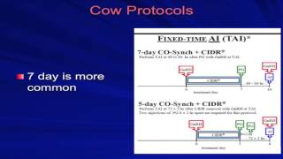 Bruce Carpenter  Cattle Reproduction  Estrus Detection and Sync Lecture  D [upl. by Enneite]