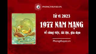 Tử vi tuổi Đinh Tỵ năm 2023 nam mạng [upl. by Isidora377]