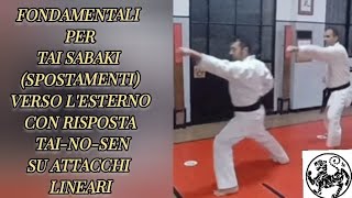 taisabaki spostamenti baseuscita allesternokarate shotokan martialarts techniquetaisabaki [upl. by Wolgast]