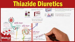 Pharmacology CVS 8 Diuretics  Thiazide Diuretics  Chlorothiazide Hydrochlorothiazide [upl. by Elgar]