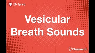 Vesicular Breath Sounds Animation  EMTprepcom [upl. by Llenroc]