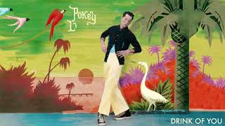 Pokey LaFarge  quotDrink of Youquot Official Audio [upl. by Ramat310]